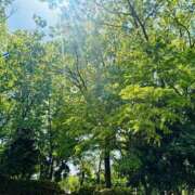 ヒメ日記 2025/09/06 07:05 投稿 美桜 モアグループ西川口人妻城