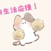 ヒメ日記 2026/04/01 00:38 投稿 まなか アリスカフェ