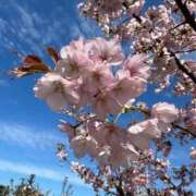 ヒメ日記 2025/04/06 07:49 投稿 さあや 水戸人妻隊