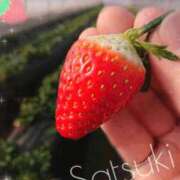 ヒメ日記 2025/02/15 12:36 投稿 さつき モアグループ神栖人妻花壇