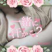 ヒメ日記 2025/03/13 11:44 投稿 さつき モアグループ神栖人妻花壇