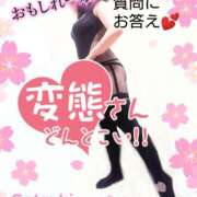 ヒメ日記 2025/03/15 17:50 投稿 さつき モアグループ神栖人妻花壇