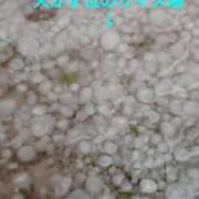 ヒメ日記 2025/03/19 09:48 投稿 さつき モアグループ神栖人妻花壇