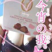 ヒメ日記 2025/04/06 14:45 投稿 さつき モアグループ神栖人妻花壇