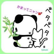 ヒメ日記 2025/07/08 08:20 投稿 さつき モアグループ神栖人妻花壇