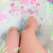 ヒメ日記 2025/08/08 08:50 投稿 さつき モアグループ神栖人妻花壇