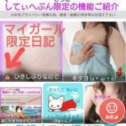 ヒメ日記 2025/11/15 11:21 投稿 さつき モアグループ神栖人妻花壇