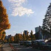 ヒメ日記 2025/11/19 15:35 投稿 さつき モアグループ神栖人妻花壇