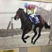 ヒメ日記 2025/01/31 16:09 投稿 松岡 熟女の風俗最終章 新横浜店