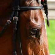 ヒメ日記 2025/04/29 16:02 投稿 松岡 熟女の風俗最終章 新横浜店