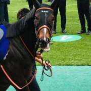 松岡 🌹今月の出勤は今日で最後ぉお 熟女の風俗最終章 新横浜店