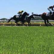 松岡 💋上半期が終わりました 熟女の風俗最終章 新横浜店