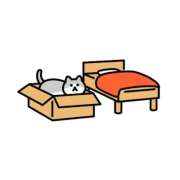 ヒメ日記 2025/01/19 12:06 投稿 桐谷　めぐ 三丁目の奥様（東京ハレ系）