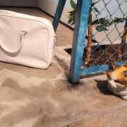 ヒメ日記 2025/07/27 22:57 投稿 桐谷　めぐ 三丁目の奥様（東京ハレ系）