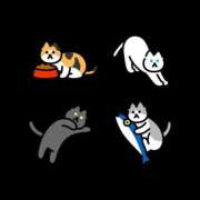 ヒメ日記 2025/11/25 19:01 投稿 桐谷　めぐ 三丁目の奥様（東京ハレ系）