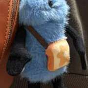 ヒメ日記 2026/04/29 09:13 投稿 桐谷　めぐ 三丁目の奥様（東京ハレ系）