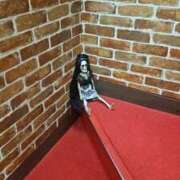 ヒメ日記 2025/10/17 05:30 投稿 絢辻　まこと 三丁目の奥様（東京ハレ系）