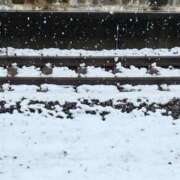 ヒメ日記 2026/02/08 11:17 投稿 絢辻　まこと 三丁目の奥様（東京ハレ系）