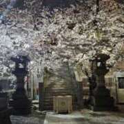 ヒメ日記 2026/03/29 00:36 投稿 絢辻　まこと 三丁目の奥様（東京ハレ系）