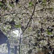 ヒメ日記 2026/04/02 23:12 投稿 絢辻　まこと 三丁目の奥様（東京ハレ系）