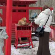 ヒメ日記 2025/03/12 21:04 投稿 如月　みお 三丁目の奥様（東京ハレ系）