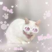 ヒメ日記 2025/04/19 22:22 投稿 如月　みお 三丁目の奥様（東京ハレ系）