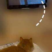 ヒメ日記 2025/10/18 01:17 投稿 如月　みお 三丁目の奥様（東京ハレ系）