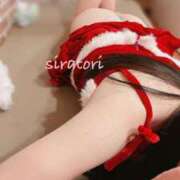 ヒメ日記 2024/12/23 20:31 投稿 白鳥　ねお 三丁目の奥様（東京ハレ系）