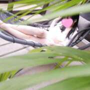 ヒメ日記 2025/01/10 08:03 投稿 白鳥　ねお 三丁目の奥様（東京ハレ系）