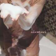 ヒメ日記 2025/06/26 07:48 投稿 白鳥　ねお 三丁目の奥様（東京ハレ系）