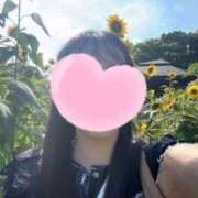 ヒメ日記 2025/07/24 09:53 投稿 白鳥　ねお 三丁目の奥様（東京ハレ系）