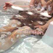 ヒメ日記 2026/02/17 10:03 投稿 白鳥　ねお 三丁目の奥様（東京ハレ系）