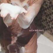 ヒメ日記 2026/04/10 10:09 投稿 白鳥　ねお 三丁目の奥様（東京ハレ系）