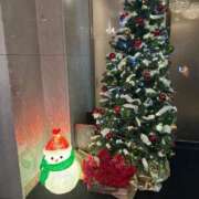 ヒメ日記 2024/12/14 06:28 投稿 実里（みのり） 丸妻 錦糸町店