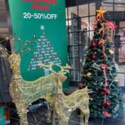 ヒメ日記 2024/12/21 11:03 投稿 実里（みのり） 丸妻 錦糸町店