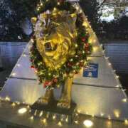 ヒメ日記 2024/12/21 22:16 投稿 実里（みのり） 丸妻 錦糸町店