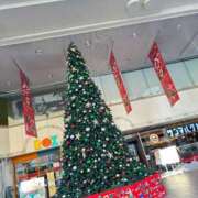 ヒメ日記 2024/12/24 10:41 投稿 実里（みのり） 丸妻 錦糸町店