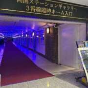 ヒメ日記 2024/12/24 22:15 投稿 実里（みのり） 丸妻 錦糸町店