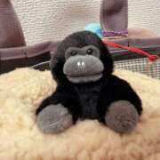 ヒメ日記 2025/01/06 15:18 投稿 実里（みのり） 丸妻 錦糸町店