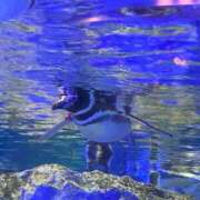 ヒメ日記 2025/01/21 22:03 投稿 実里（みのり） 丸妻 錦糸町店