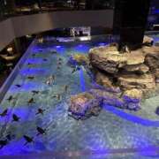 ヒメ日記 2025/01/22 08:29 投稿 実里（みのり） 丸妻 錦糸町店