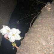 ヒメ日記 2025/03/28 17:16 投稿 実里（みのり） 丸妻 錦糸町店