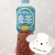 ヒメ日記 2025/04/07 14:00 投稿 実里（みのり） 丸妻 錦糸町店