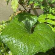 ヒメ日記 2025/06/16 10:01 投稿 実里（みのり） 丸妻 錦糸町店