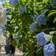 ヒメ日記 2025/06/26 11:47 投稿 実里（みのり） 丸妻 錦糸町店