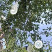 ヒメ日記 2025/07/01 10:02 投稿 実里（みのり） 丸妻 錦糸町店