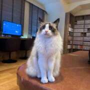 ヒメ日記 2025/07/08 16:41 投稿 実里（みのり） 丸妻 錦糸町店