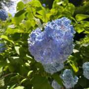 ヒメ日記 2025/07/10 19:50 投稿 実里（みのり） 丸妻 錦糸町店