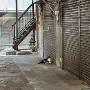 ヒメ日記 2025/08/29 15:37 投稿 実里（みのり） 丸妻 錦糸町店