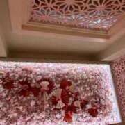 ヒメ日記 2025/10/06 14:55 投稿 実里（みのり） 丸妻 錦糸町店